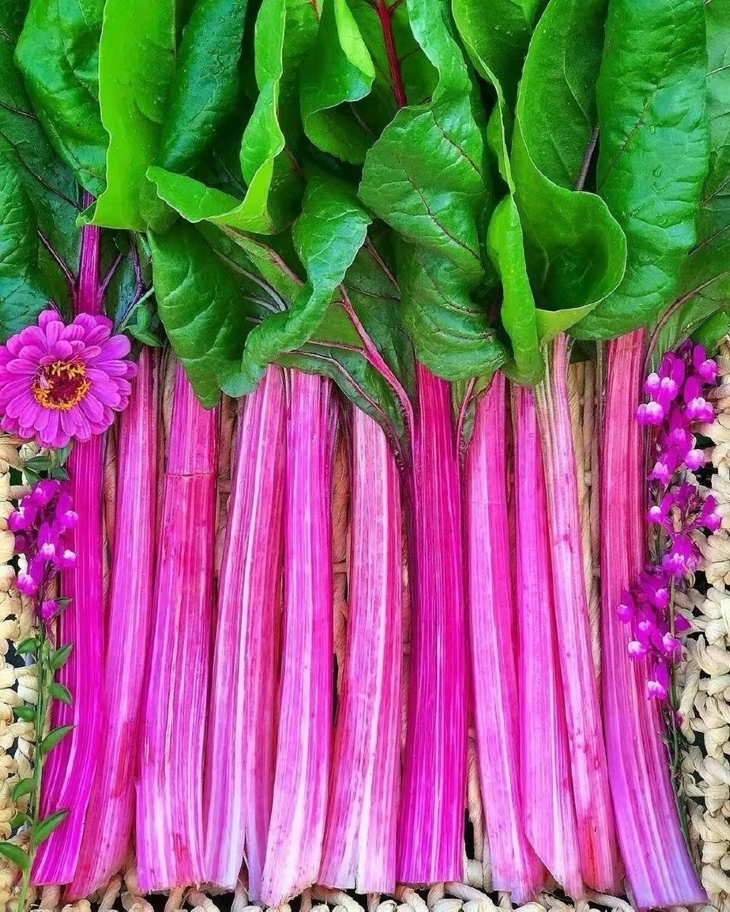 如何制作五彩缤纷的蔬菜串|Bsports手机版下载