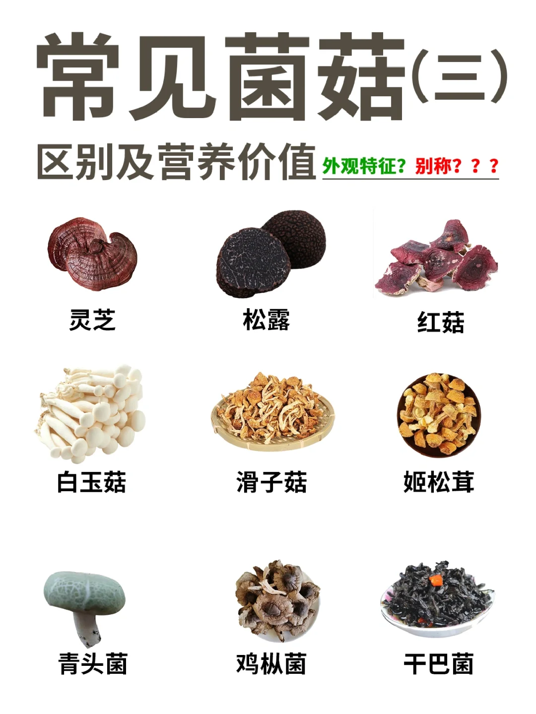 火锅中菌菇类的营养特点与搭配_必一Bsports