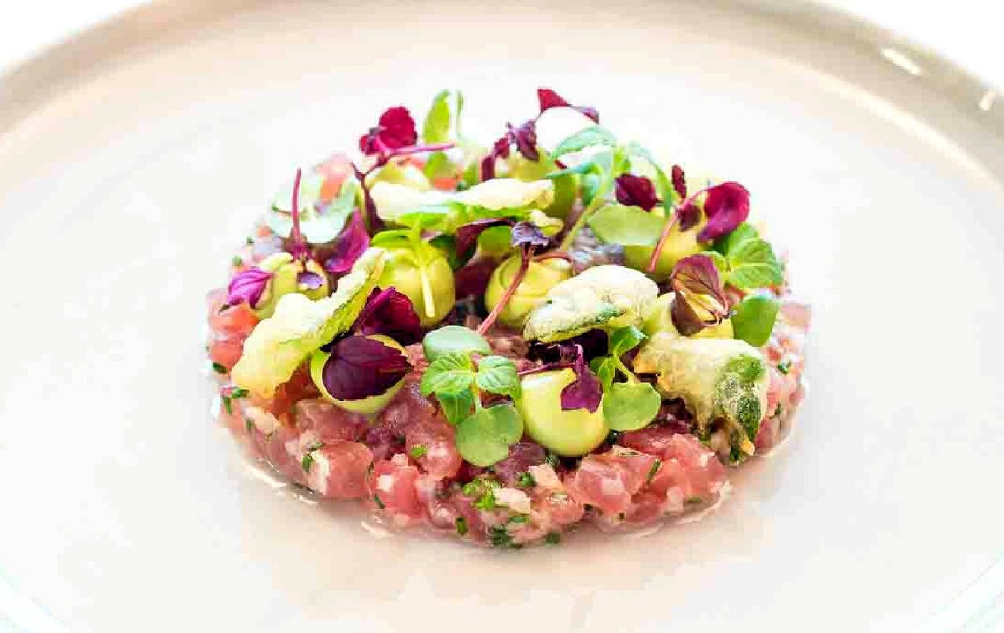 必一体育app下载|怎样让法式塔塔更具视觉吸引力